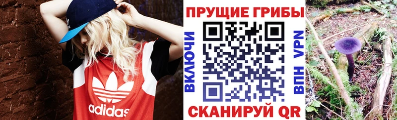 Купить закладки  Анапа  Галлюциногенные грибы MAGIC MUSHROOMS 